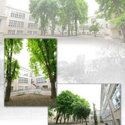 View the image: 5333335_n