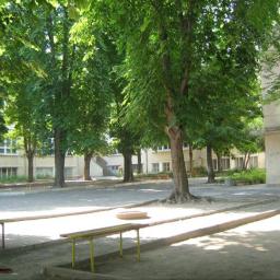 View the image: 7_650418_n