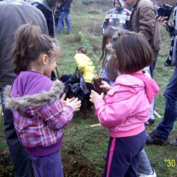 View the image: DIGITAL CAMERA