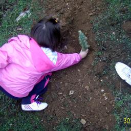 View the image: DIGITAL CAMERA