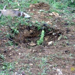 View the image: DIGITAL CAMERA